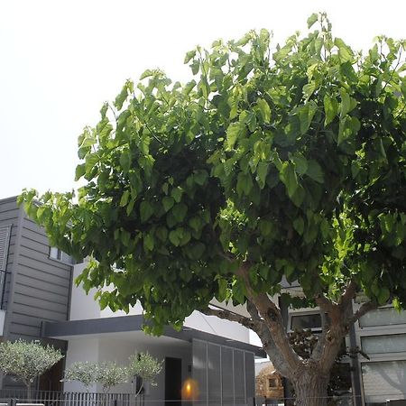 Agnanti Apartments อาร์กากา ภายนอก รูปภาพ