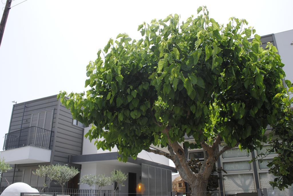 Agnanti Apartments อาร์กากา ภายนอก รูปภาพ